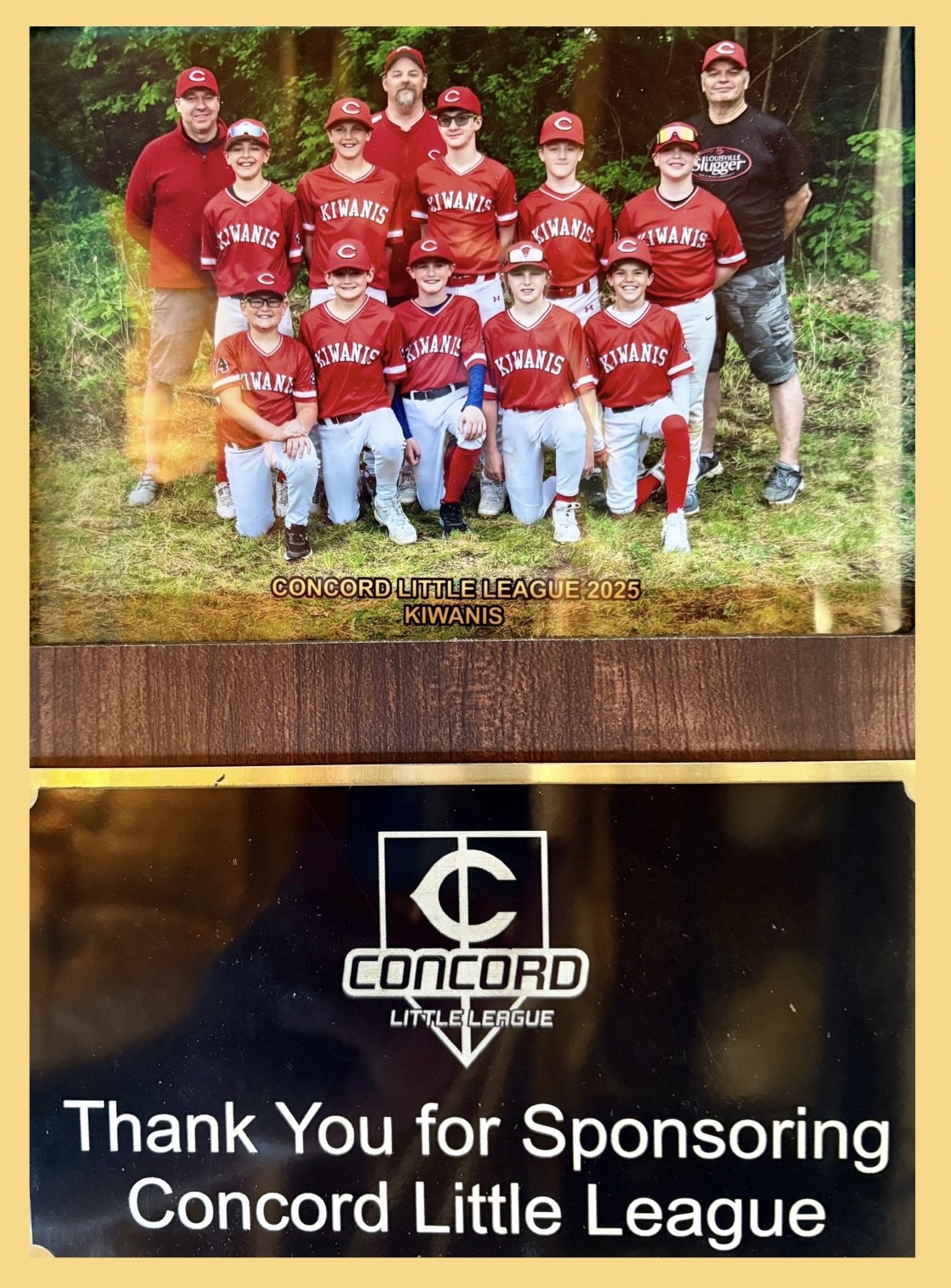 We’re proud to sponsor Concord Little League for another exciting season! Supporting youth programs like this is at the heart of what we do, helping kids thrive and building a stronger community for all. 