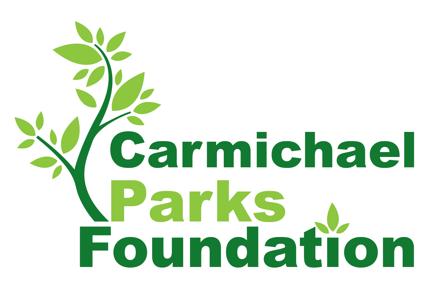 Carmichael_Parks_Foundation_220618-3
