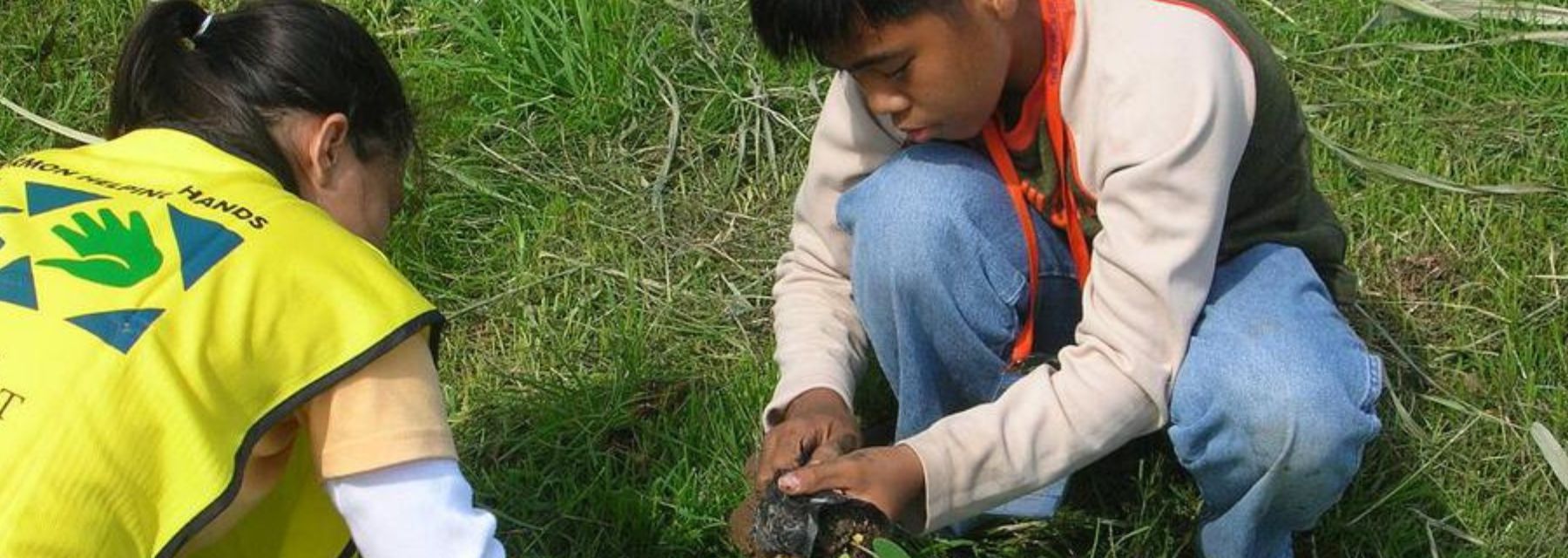 Youth planting trees