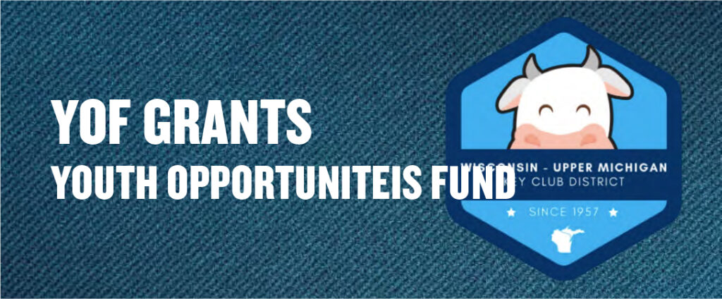 Youth Opportunities Fund