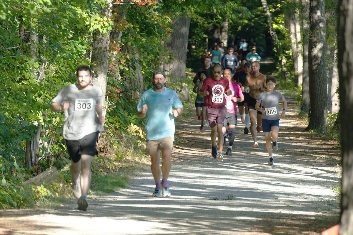 Runners stream along a sun-dappled dirt trail through the woods.