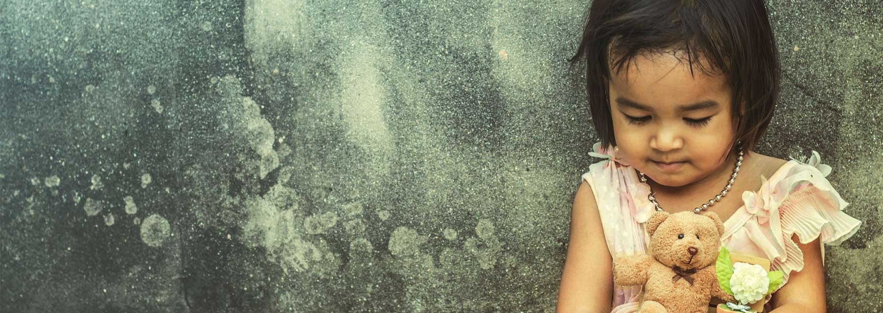 Bloomington Golden K