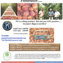 Fundraiser Georgia Peaches $40/$20